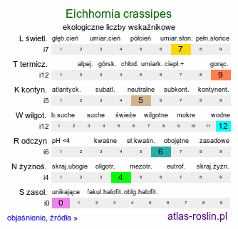 ekologiczne liczby wskaźnikowe Pontederia crassipes (eichornia gruboogonkowa)