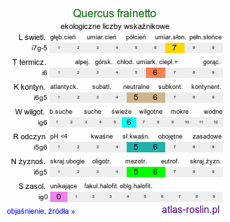 ekologiczne liczby wskaźnikowe Quercus frainetto (dąb węgierski)