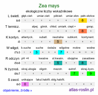 ekologiczne liczby wskaźnikowe Zea mays (kukurydza zwyczajna)