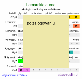 ekologiczne liczby wskaźnikowe Lamarckia aurea (lamarkia złota)