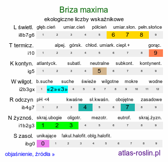 ekologiczne liczby wskaźnikowe Briza maxima (drżączka większa)