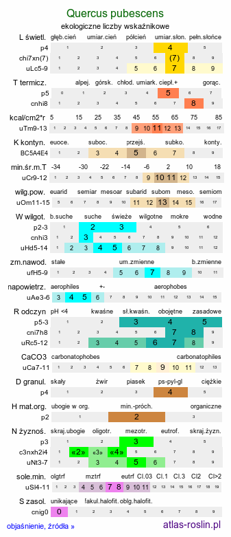 ekologiczne liczby wskaźnikowe Quercus pubescens (dąb omszony)