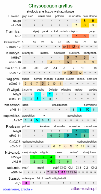 ekologiczne liczby wskaźnikowe Chrysopogon gryllus