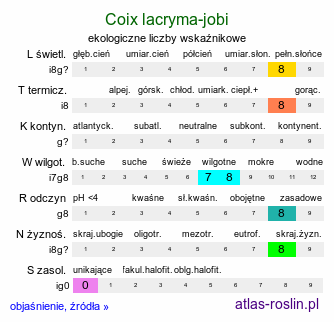 ekologiczne liczby wskaźnikowe Coix lacryma-jobi (łzawnica ogrodowa)