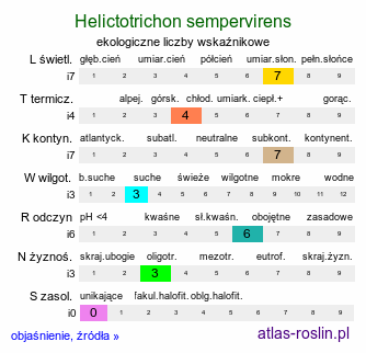 ekologiczne liczby wskaźnikowe Helictotrichon sempervirens (owsica wieczniezielona)