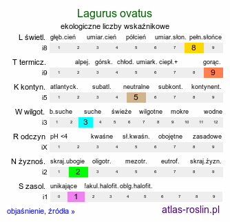 ekologiczne liczby wskaźnikowe Lagurus ovatus (dmuszek jajowaty)