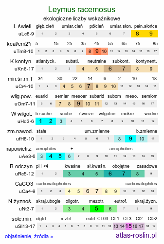 ekologiczne liczby wskaźnikowe Leymus racemosus (wydmuchrzyca groniasta)