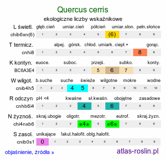 ekologiczne liczby wskaźnikowe Quercus cerris (dąb burgundzki)