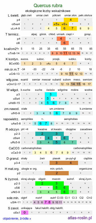 ekologiczne liczby wskaźnikowe Quercus rubra (dąb czerwony)