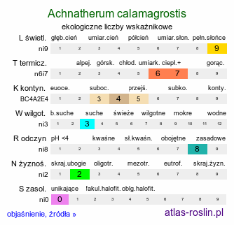ekologiczne liczby wskaźnikowe Achnatherum calamagrostis (chropiatka trzcinnikowata)