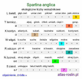 ekologiczne liczby wskaźnikowe Spartina anglica (spartyna angielska)