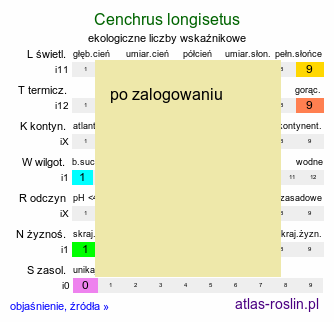 ekologiczne liczby wskaźnikowe Cenchrus longisetus (rozplenica kosmata)