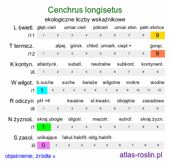 ekologiczne liczby wskaźnikowe Cenchrus longisetus (rozplenica kosmata)