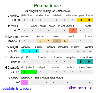 ekologiczne liczby wskaźnikowe Poa badensis (wiechlina badeńska)