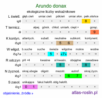 ekologiczne liczby wskaźnikowe Arundo donax (lasecznica trzcinowata)