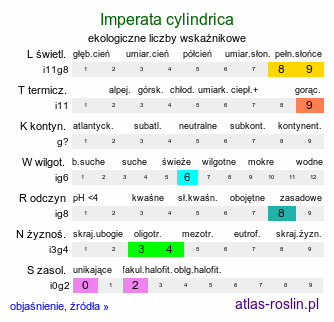 ekologiczne liczby wskaźnikowe Imperata cylindrica (imperata cylindryczna)