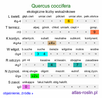 ekologiczne liczby wskaźnikowe Quercus coccifera