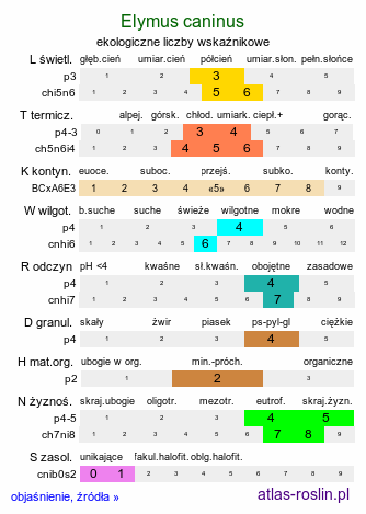 ekologiczne liczby wskaźnikowe Elymus caninus (perz psi)