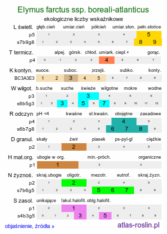 ekologiczne liczby wskaźnikowe Elymus farctus ssp. boreali-atlanticus (perz sitowy nadmorski)
