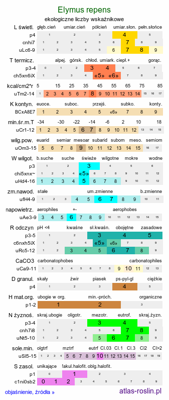 ekologiczne liczby wskaźnikowe Elymus repens (perz właściwy)