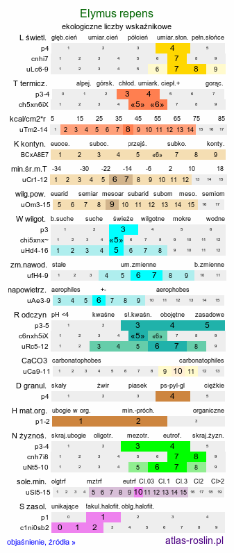 ekologiczne liczby wskaźnikowe Elymus repens (perz właściwy)