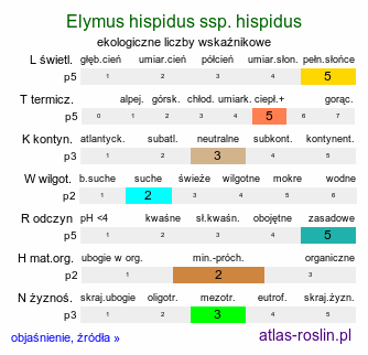 ekologiczne liczby wskaźnikowe Elymus hispidus ssp. hispidus (perz siny typowy)