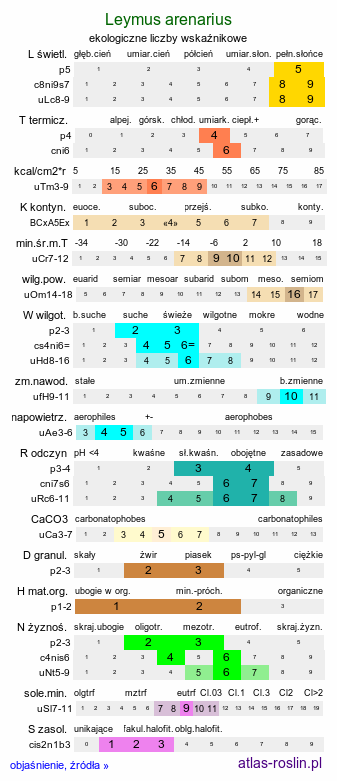 ekologiczne liczby wskaźnikowe Leymus arenarius (wydmuchrzyca piaskowa)