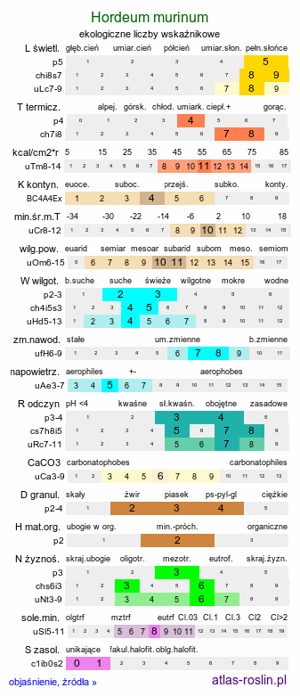 ekologiczne liczby wskaźnikowe Hordeum murinum (jęczmień płonny)