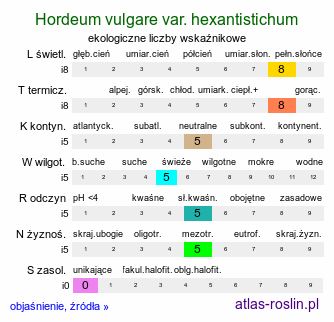 ekologiczne liczby wskaźnikowe Hordeum vulgare var. hexantistichum (jęczmień zwyczajny sześciorzędowy)