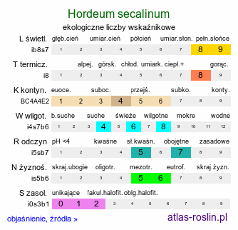 ekologiczne liczby wskaźnikowe Hordeum secalinum (jęczmień żytni)