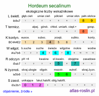 ekologiczne liczby wskaźnikowe Hordeum secalinum (jęczmień żytni)