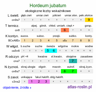 ekologiczne liczby wskaźnikowe Hordeum jubatum (jęczmień grzywiasty)