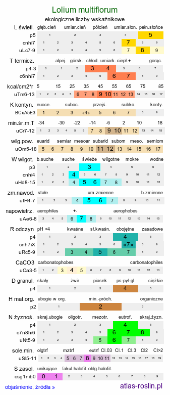 ekologiczne liczby wskaźnikowe Lolium multiflorum (życica wielokwiatowa)