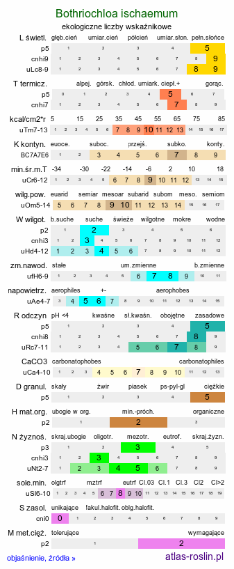 ekologiczne liczby wskaźnikowe Bothriochloa ischaemum (palczatka kosmata)