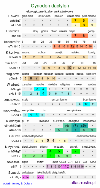 ekologiczne liczby wskaźnikowe Cynodon dactylon (cynodon palczasty)