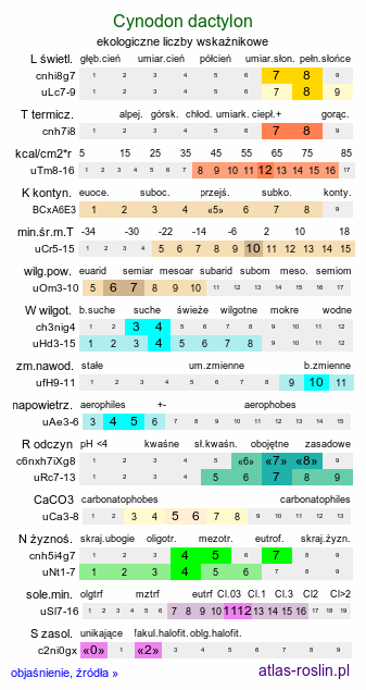 ekologiczne liczby wskaźnikowe Cynodon dactylon (cynodon palczasty)