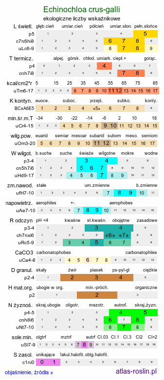 ekologiczne liczby wskaźnikowe Echinochloa crus-galli (chwastnica jednostronna)