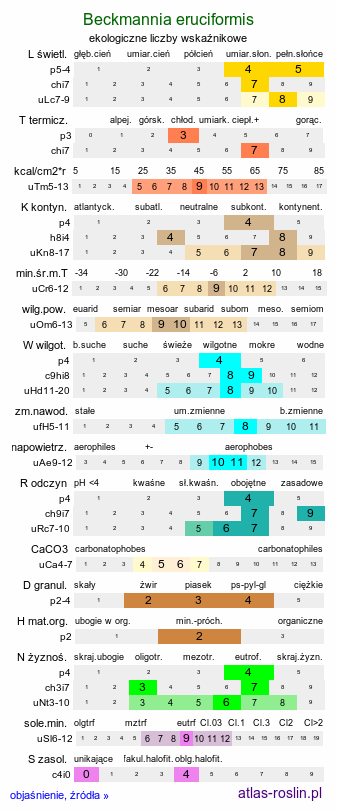 ekologiczne liczby wskaźnikowe Beckmannia eruciformis (bekmania robaczkowata)