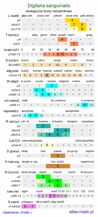 ekologiczne liczby wskaźnikowe Digitaria sanguinalis (palusznik krwawy)