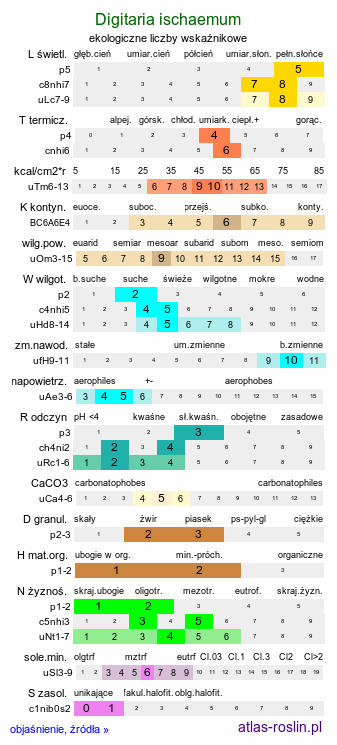 ekologiczne liczby wskaźnikowe Digitaria ischaemum (palusznik nitkowaty)