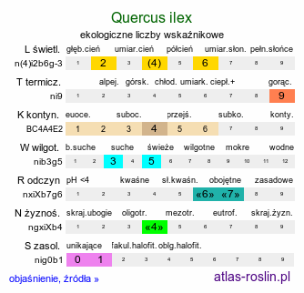 ekologiczne liczby wskaźnikowe Quercus ilex (dąb ostrolistny)