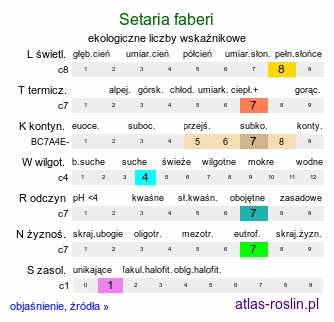 ekologiczne liczby wskaźnikowe Setaria faberi (włośnica Fabera)