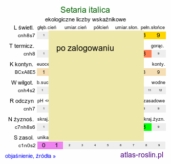 ekologiczne liczby wskaźnikowe Setaria italica (włośnica ber)