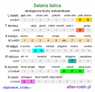 ekologiczne liczby wskaźnikowe Setaria italica (włośnica ber)