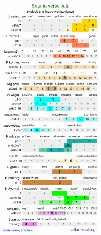 ekologiczne liczby wskaźnikowe Setaria verticillata (włośnica okółkowa)