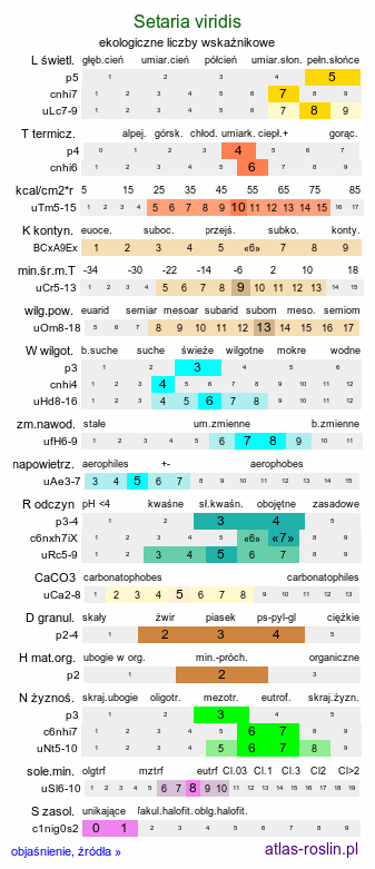 ekologiczne liczby wskaźnikowe Setaria viridis (włośnica zielona)