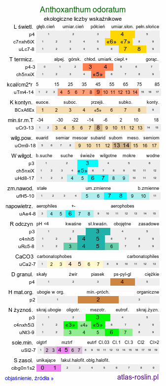 ekologiczne liczby wskaźnikowe Anthoxanthum odoratum s.str. (tomka wonna)