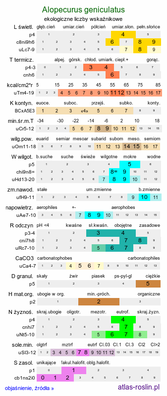 ekologiczne liczby wskaźnikowe Alopecurus geniculatus (wyczyniec kolankowy)