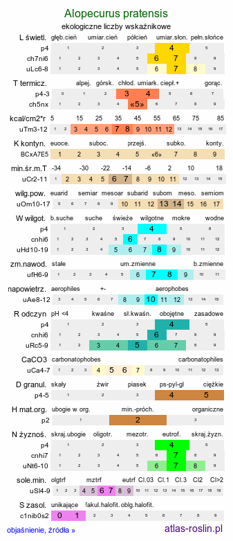 ekologiczne liczby wskaźnikowe Alopecurus pratensis (wyczyniec łąkowy)