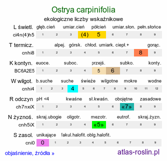 ekologiczne liczby wskaźnikowe Ostrya carpinifolia (chmielograb europejski)